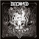 Decayed - The Oath Of Heathen Blood